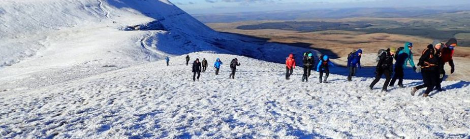 Brecons in snow